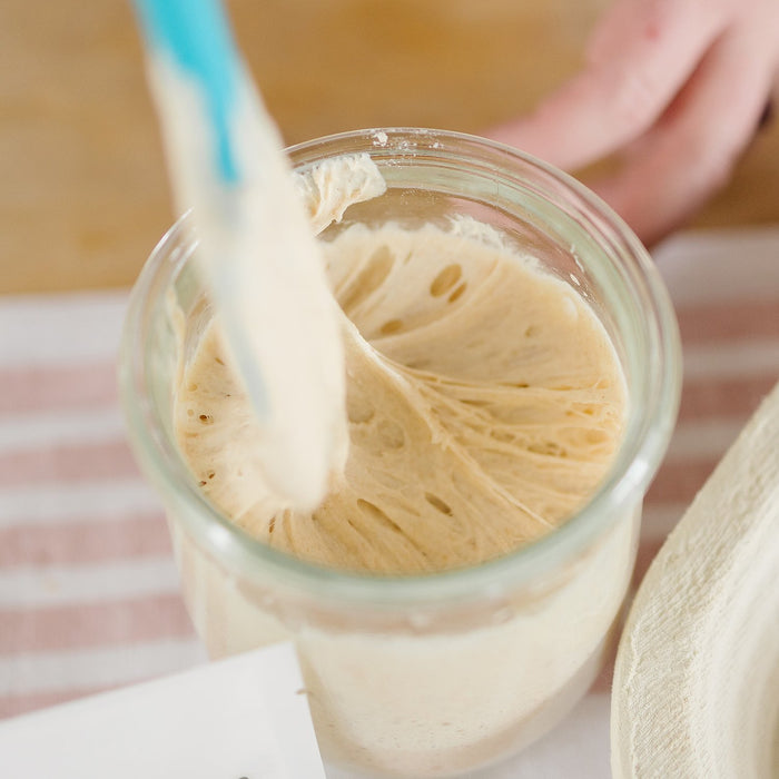 Basil & Bloom Dehydrated Sourdough Starter