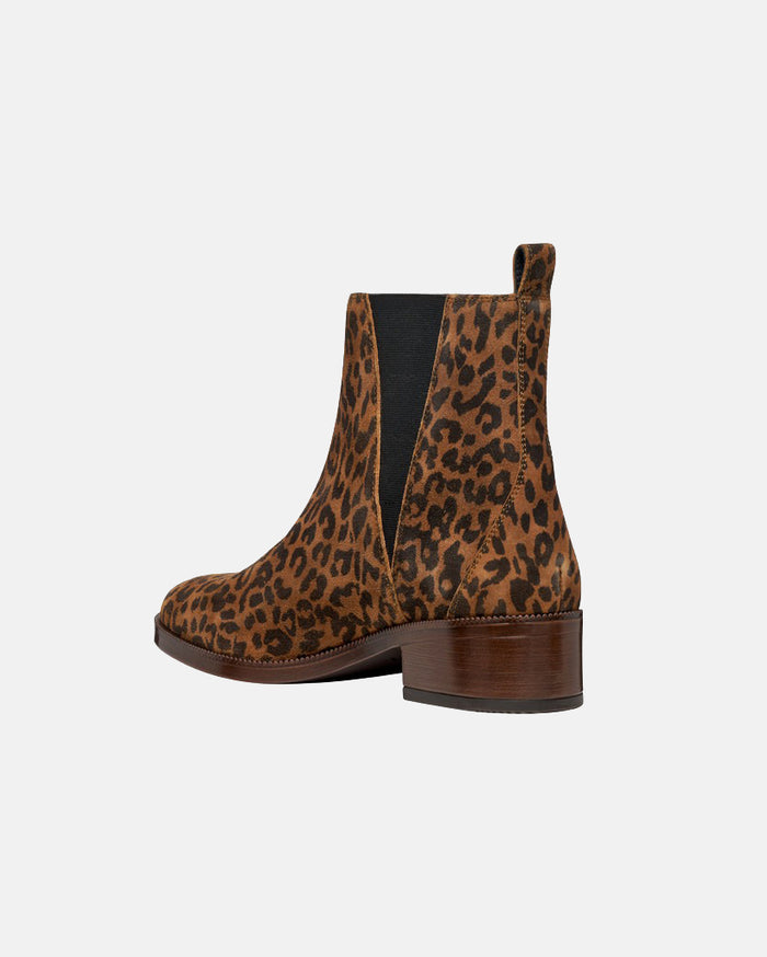 mw:img:b4582cb6b695d0cbc3a52dc91f600cbe