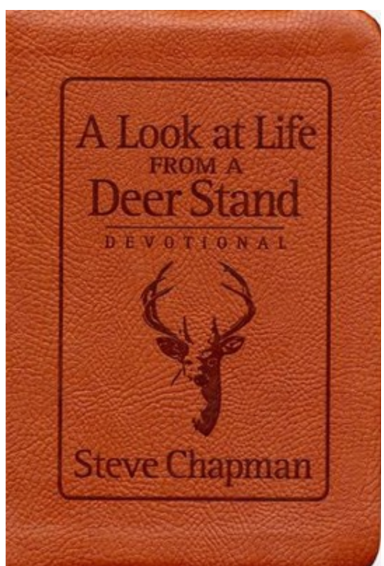 From A Deer Stand