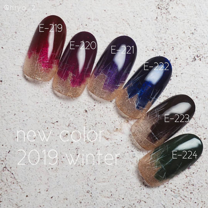 Kokoist E-224 Midnight Forest Color Gel KOKOIST