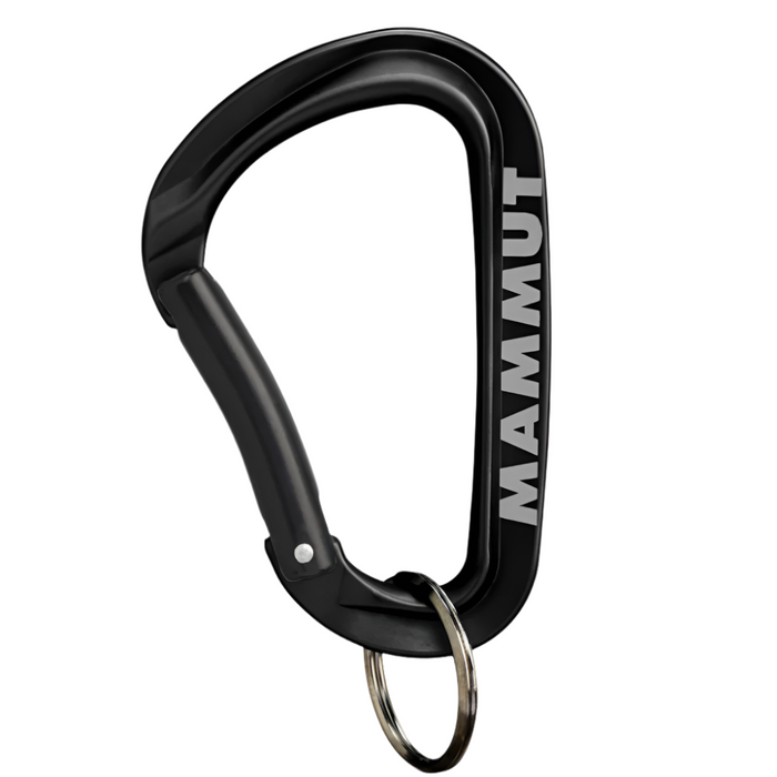 Mini Carabiner Workhorse Keylock