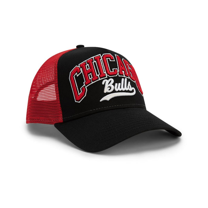 New Chicago Bulls E-Frame Trucker Cap