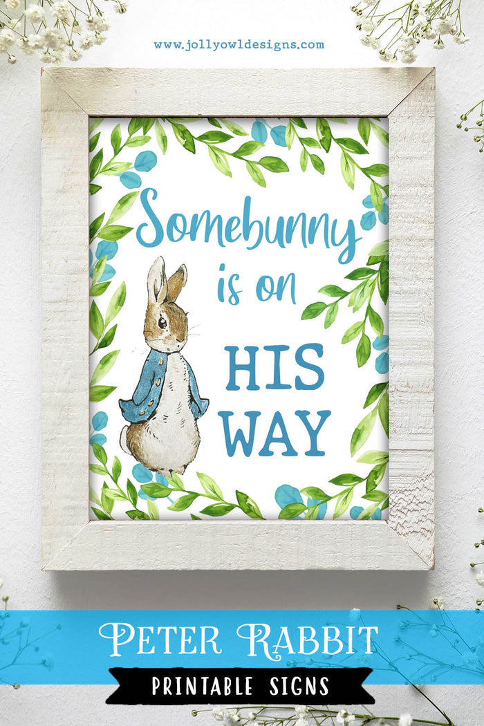 Peter Rabbit Baby Shower Party Signs - Somebunny Is On His Way - Jolly Owl Designs