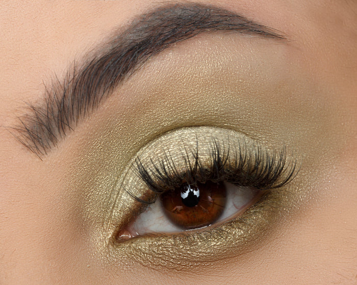 Signature Palette - Empowered